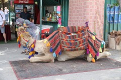 Jeruzalém květen 2019